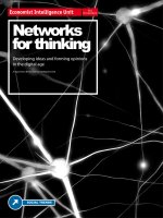 Networks for thinking developing ideas and forming opinions in the digital age 