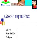 mẫu báo cáo THỊ TRƯỜNG  