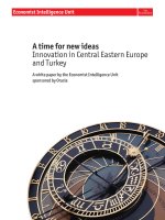 A time for new ideas innovation in central eastern europe and turkey 