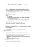 Pháp luật trong hoạt động kinh doanh thương mại 