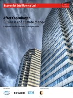 After copenhagen business and climate change 