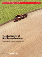 The global power of brazilian agribusiness 