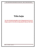 Tiểu luận  các yếu tố ảnh hưởng đến việc sử dụng internet của các công ty quốc tế trên thị trường chuyển tiếp tại việt n
