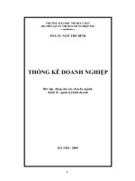 Bài Tập Thống Kê Doanh Nghiệp