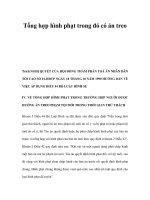 Tổng hợp hình phạt trong đó có án treo 