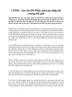 CMMI   visa cho DN phần mềm gia nhập thị trường thế giới 