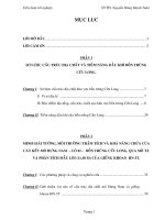 Luận văn sơ lược cấu trúc địa chất và tiềm năng dầu khí bồn trũng cửu long