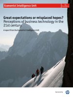 Great expectations or misplaced hopes perceptions of business technology in the 21st century 