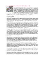 Hạch toán chênh lệch tỷ giá hối đoái theo VAS 10 và thông tư 105 