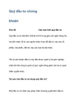 Quỹ đầu tư chứng khoán 