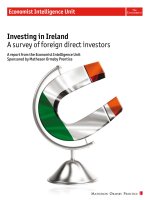Investing in ireland a survey of foreign direct investors 