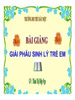 Bài giảng giải phẫu sinh lý  chương IX   GV  thân thị diệp nga