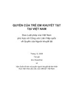 QUYỀN của TRẺ EM KHUYẾT tật tại VIỆT NAM