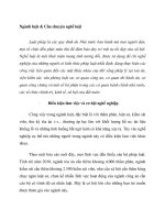 Ngành luật câu chuyện nghề luật