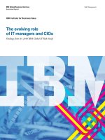 The evolving role of IT managers and CIOs findings from the 2010 IBM global IT risk study 