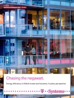 Chasing the negawatt energy efficiency in british homes and businesses   a policy perspective 