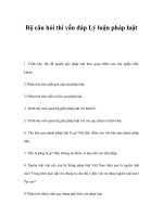 Bộ câu hỏi thi vấn đáp lý luận pháp luật 