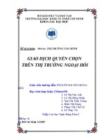 Tiểu luận thị trường tài chính  giao dịch quyền chọn trên thị trường ngoại hối