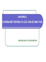 Bài giảng  ô nhiễm môi trường và các vấn đề sinh thái