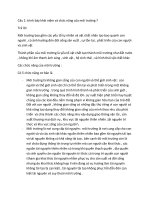 Ôn thi kỹ thuật môi trường 