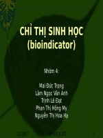 Bài giảng chỉ thị sinh học