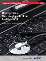 Under pressure   the changing role of the healthcare CIO 