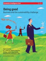 Doing good business and the sustainability challenge 
