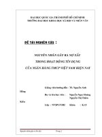 nguyên nhân gây ra nợ xấu  trong hoạt động tín dụng  của ngân hàng tmcp việt nam hiện nay