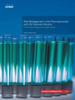 Risk management in the pharmaceuticals and life sciences industry 