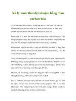 Xử lý nước thải dệt nhuộm bằng than carbon hóa 