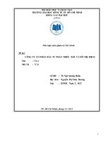 Tiểu luận quản trị tài chính  công ty cổ phần đầu tư phát triển nhà và đô thị IDICO