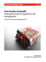 From burden to benefit making the most of regulatory risk management 