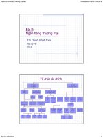 Bài giảng tài chính phát triển  bài 8   đỗ thiên anh tuấn