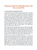 Tổng quan kinh tế 6 tháng đầu năm và dự báo cả năm 2012 
