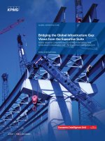 Bridging the global infrastructure gap views from the executive suite 