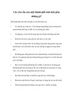 Các yêu cầu của một thành phố sinh thái gồm những gì 