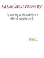 Bài báo cáo đa dạng sinh học  sự ảnh hưởng của biến đổi khí hậu và ô nhiễm môi trường đến san hô