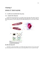 Sinh lý học người và động vật tập 1  phần 2  trịnh hữu hằng, đỗ công huỳnh
