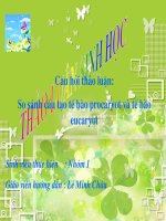 So sánh cấu tạo tế bào procaryot và eucaryot