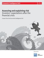 Assessing and explaining risk investors expectations after the financial crisis 