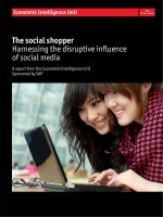 The social shopper harnessing the disruptive power of social media 