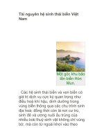 Tài nguyên hệ sinh thái biển việt nam 