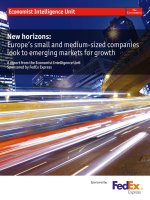 New horizons europes small and medium sized companies look to emerging markets for growth 