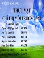 Thực vật chỉ thị môi trường đất