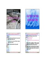 Bài giảng xử lý nước thải  chương 3