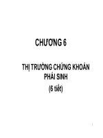 Bài giảng thị trường tài chính và các định chế tài chính  chương 6   GV  nguyễn thu hà