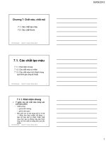 Bài giảng hóa sinh thực phẩm (ths  phạm hồng hiếu)   chương 7  chất màu, chất mùi