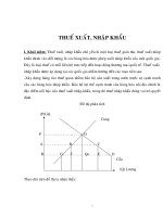 BÀI GIẢNG về THUẾ XUẤT, NHẬP KHẨU