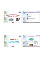 Bài giảng xử lý nước thải  chương 6