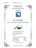 Bài tập nhóm môn phân tích tài chính doanh nghiệp  phân tích tài chính công ty cổ phần chế biến gỗ thuận an   GVHD  đoàn